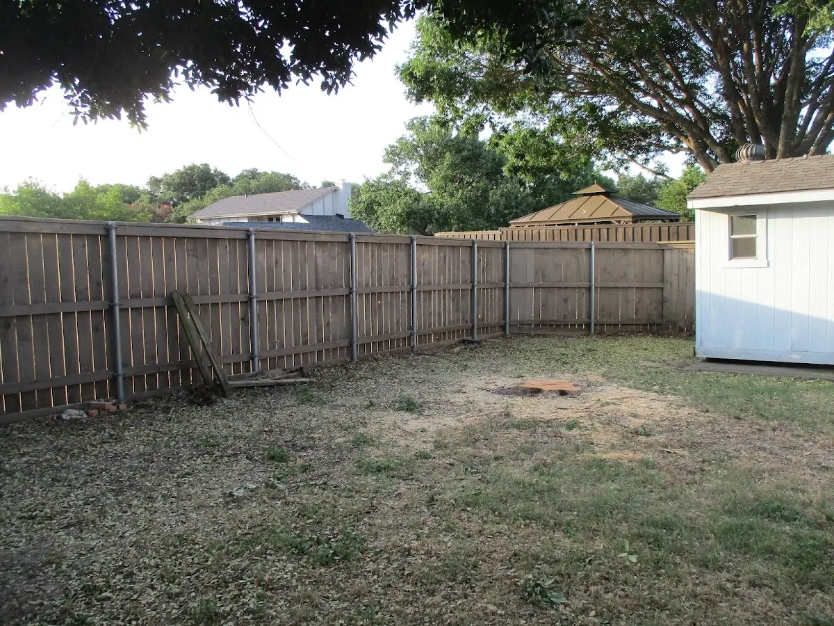 Cleared yard after professional tree removal in Rosebush