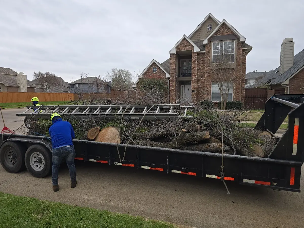 Expert Crown Reduction with proper safety equipment in Rosebush